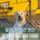 애견동반 밀양테마수영장 | 밀양 애견동반 밀양 테마 수영장 펜션 추천