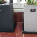 아이비팜 이미지