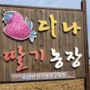 다나딸기농장2