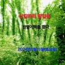 관동마을회관 Daum카페