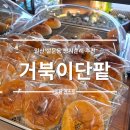 거북이네 | 빵지순례 일산 설문동 거북이단팥 후기