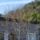 목인농장 이미지