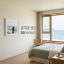 쉼송지호 | "나만 알고 싶었는데.." 송지호해수욕장펜션 중 평점 4.9 찍은 의외의 한 곳