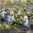 복이네 농장 이미지