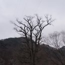 상고대가 찬란한 용문산 環종주 산행 2012.12.29 이미지