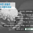 국립중앙의료원 | 국립중앙의료원장례식장 사랑과 기억으로남는 장례후기