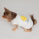 스마일애견 이미지