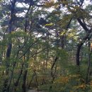 드림공인중개사사무소 이미지