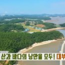 숲핑팜핑