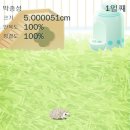 이사벨고등학교 | 그리고갑차기스러운데수능취소해도돼?