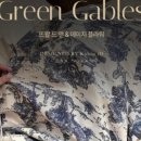 데이지플라워 이미지