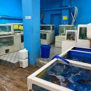 남해물회수산회 이미지