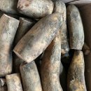 연근농장 이미지