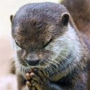 애니핏그라운드 이미지