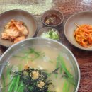 고성집 | 고성 맛집 추천 수제비집 혼밥 후기