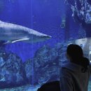 만성로 | 26.1월 빠이