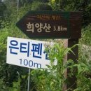 은티농장 이미지