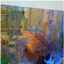 오즈어린이치과의원 이미지