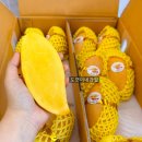 도연밸리 이미지