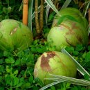 골든파크호텔 이미지