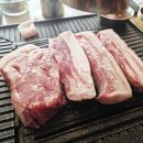 제주미니버스투어 | 제주도 미니버스 투어 이용한 제주 관광의 후기와 요금 정보