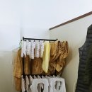 내손안마원 이미지