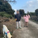 제주독채펜션자쿠지감성숙소구르미별동 이미지