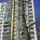 올림픽로4길 이미지