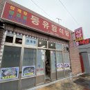 동유암식당 | 제주도 맛집 솔직후기(2) 동유암식당, 다도, 일광회센터