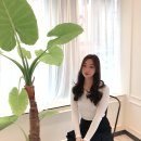 만수브라운