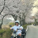 신도건어물 이미지