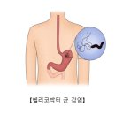 위 Daum백과