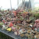 광수농장2 이미지