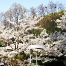 춘하추동 이미지