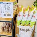 로송 티스토리