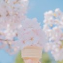 부춘산체육공원 이미지