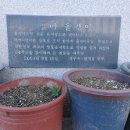 별미올갱이 이미지