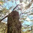 하천회관 | 지리산둘레길5차 14구간 역방향 대축(동정호)~원부춘 8.7km 2025.11.16