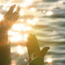 주식회사인해빛 이미지