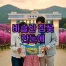 비슬산유스호스텔 | 비슬산 참꽃축제 가수 셔틀버스 날짜