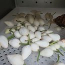 계촌농장 이미지