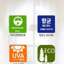 우아시스 이미지