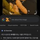 만족오향족발 송현점 | 시청역 족발 맛집 만족오향족발 만set 솔직후기 서울 3대 족발 인정