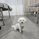 미례속눈썹 | 김해헤어라인왁싱 미례속눈썹 신부관리 헤어라인정리 찐 추천후기