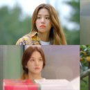 에이치농장 이미지