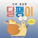 ㅁ 진짜 용감한 달팽이// 나심 흐랍/ 켈리콜리어/ 국민서관/ 원제 : How to be Brave like a Sanil 이미지