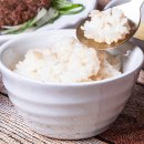 미운오리 이미지