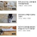 대화목장 이미지