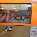 카페푸레