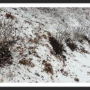 동균농장 이미지